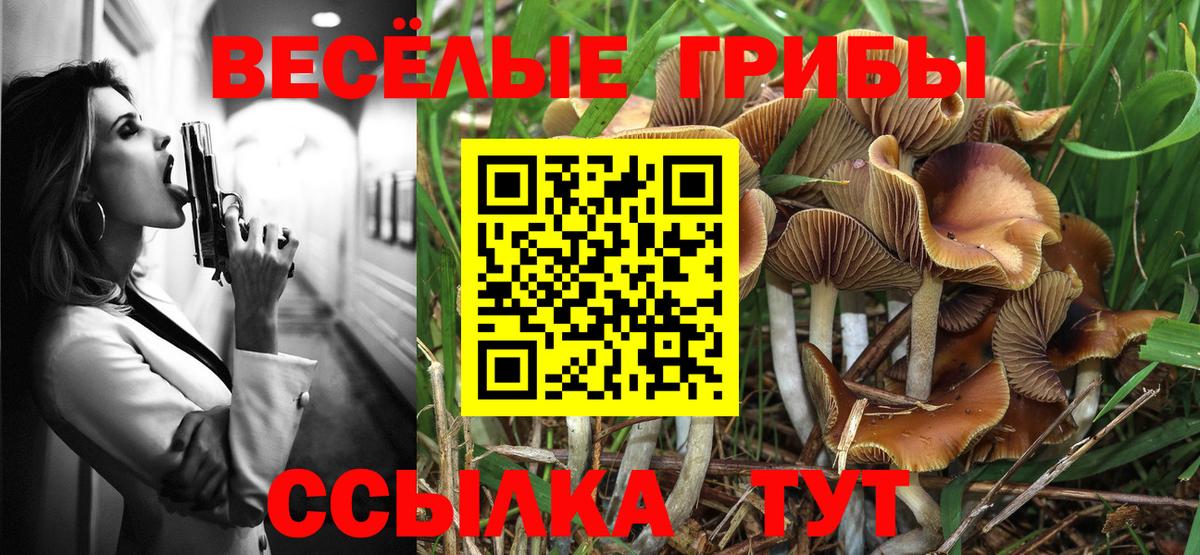 Галлюциногенные грибы GOLDEN TEACHER Дзержинский