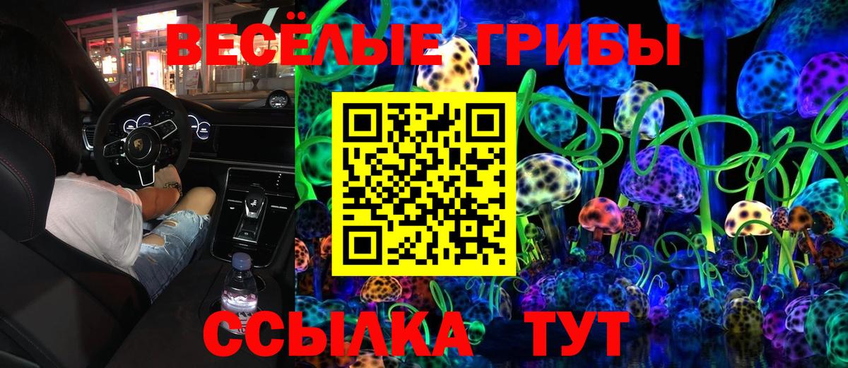 Галлюциногенные грибы Magic Shrooms  Псилоцибиновые грибы Cubensis  Вход с VPN  купить   Дзержинский 